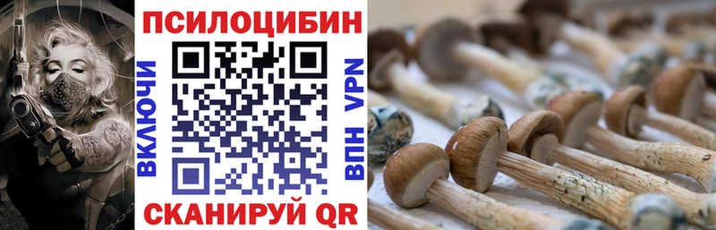 Псилоцибиновые грибы MAGIC MUSHROOMS Кудрово