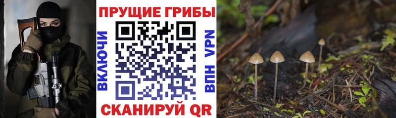 KRAKEN ONION  Кудрово  Псилоцибиновые грибы мицелий  сколько стоит 